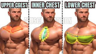 TOP 5 INNER LOWER AND UPPER CHEST WORKOUT AT GYM  Meilleurs exs Musculation poitrine [upl. by Ennahgem]