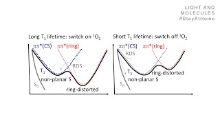 Singlet oxygen photosensitization part 12 [upl. by Enileqcaj313]