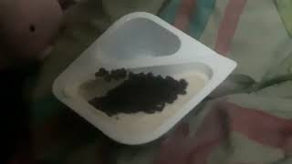 Review on muller corner Mississippi mud pie [upl. by Anij254]