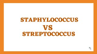 Staphylococcus VS Streptococcus 5 Major Differences to Memorize 💡 [upl. by Ennayelhsa583]