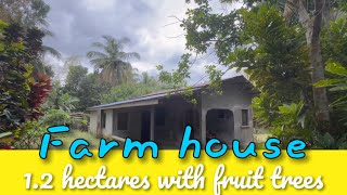 V42724 • 12 Hectares Farm House and Lot with FruitBearing Trees in Alitagtag Batangas [upl. by Vincenta]