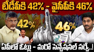 TDP vs YSRCP టీడీపీకి 42  వైసీపీకి 46 ఏపిలో ఓట్లు  మరో నేషనల్ సర్వే  AP 175 [upl. by Abbottson]