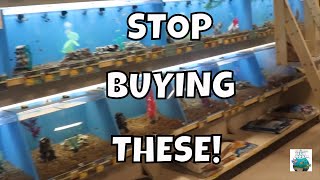 These Petsmart Fish are very sick [upl. by Maillliw420]