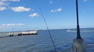 Fishing at Titusville Veterans Memorial Fishing Pier [upl. by Earle785]