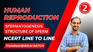 Human Reproduction  Part 2  NCERT line to Line  TB 2024 [upl. by Naillimixam]