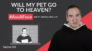 Will My Pet Go to Heaven AskAFriar Aquinas 101 [upl. by Linker]