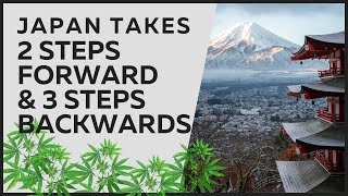 Japans New Cannabis Laws A GameChanger [upl. by Ecinna]