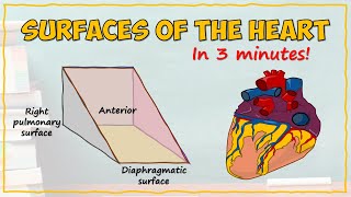 Surfaces of the Heart [upl. by Lleuqram182]