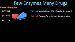 Phase II Metabolism  Pharmacology Lect 8 [upl. by Bui]