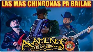 LOS ALAMEÑOS DE LA SIERRA MIX 2024🤠Las Mas Chingonas PaBailar MIX💥 Corridos y Cumbias Sierreñas [upl. by Westley]