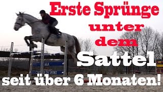 Erste Sprünge nach VERLETZUNG  MA Chevaux De Sport [upl. by Odnamra390]