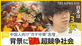 【ガチ中華】池袋に100店舗以上！なぜ急増？背景に中国の“超競争社会”…留学生「日本で再出発したい」【news23】 [upl. by Aitak]