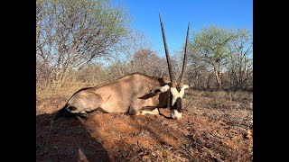 Duiker and Oryx hunting in South Africa from a helicopter  October 2023 [upl. by Iglesias]