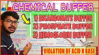 CHEMICAL BUFFER  BICARBONATE buffer PHOSPHATE buffer PROTEINHEMOGLOBIN buffer [upl. by Ettelra603]