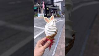 Japanese lunch in Narita Japan japanesefood narita japan travelvlog [upl. by Jos677]