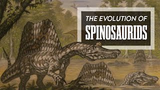 The Evolution of Spinosauridae [upl. by Asilrac]