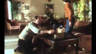 French Polishers  Classic Yellow Pages TV ad [upl. by Freda]