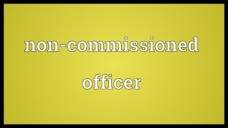 Noncommissioned officer Meaning [upl. by Innos]