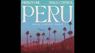 Fireboy DML  Peru Peace Control Remix [upl. by Anilegnave]