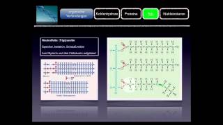 Basiskurs BiochemieChemie Fett Teil 910 [upl. by Anaiad]