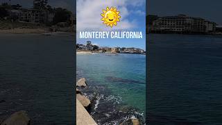 Monterey California Day Trip 🌞 montereybayaquarium [upl. by Nerac]