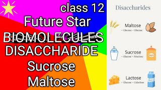 class 12 chapter biomoleculesdisaccharidesucrose Structuremaltose Structurefuture star [upl. by Om172]