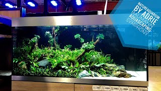 OASE HighLine 300 Natureaquarium at Botanic in Ville La Grand France [upl. by Skrap936]