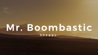 Shaggy  Mr Boombastic Lyrics [upl. by Aiam595]