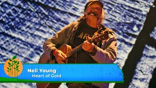 Neil Young  Heart of Gold Live at Farm Aid 2023 [upl. by Radbourne]