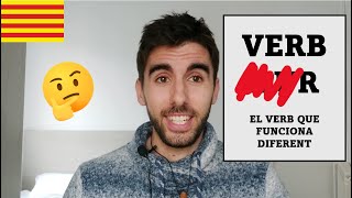 EL VERB MÉS ESTRANY DEL CATALÀ  Subtítols català [upl. by Sukramed]