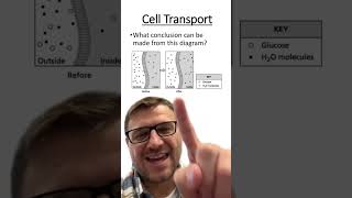 Osmosis Question [upl. by Hekker]