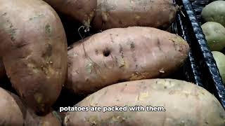 Japanese Sweet Potatoes The Ultimate Comfort Food for Fall [upl. by Rolat]