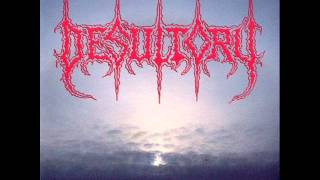 Desultory  Depressionwmv [upl. by Calandra]