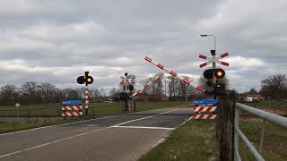 Spoorwegovergang Ruurlo  Dutch Railroad Crossing [upl. by Lashond]