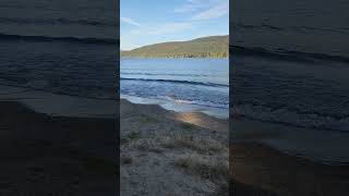 missing the lake asmr asmrsounds asmrvideo water lake lakegeorge shorts [upl. by Marlette384]