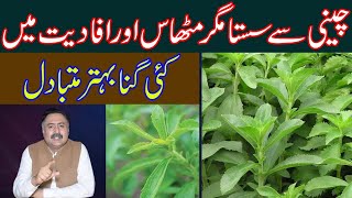 Stevia vs Sugar  Is Stevia a Better Alternative to Sugar [upl. by Alaster]