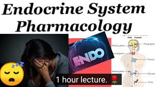 ENDO PHARMACOLOGY LECTURE minikatzung pharmacology lectures in 1 hour 🌹 🌹 🌹 [upl. by Hogg759]