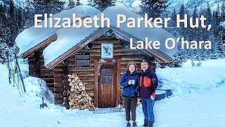 Winter Hike Elizabeth Parker Hut near Lake Ohara [upl. by Maurili419]