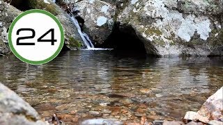 SONIDO de CASCADA💧💧Pequeña y RÍO💦 Agua Cayendo y Fluyendo Suave Relajante para Dormir y Relajarse [upl. by Arlynne304]