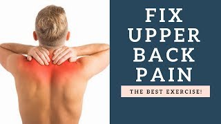 BEST Exercise For Upper Back Pain Relief and Improved Posture [upl. by Benedict]