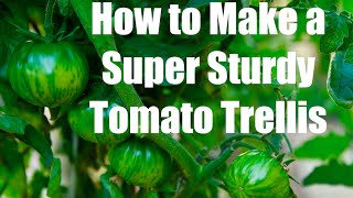 3 Inexpensive Tomato Supports amp How to Make a Super Sturdy Tomato Trellis [upl. by Theall650]