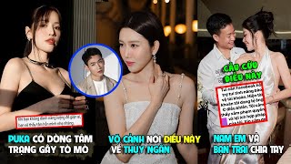 Puka có dòng tâm trạng gây tò mòVõ Cảnh nói điều này về Thúy NgânNghi vấn Nam Em chia tay bạn trai [upl. by Verena]