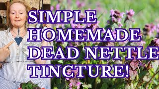 Lets make a super easy Dead Nettle Tincture [upl. by Yhtur]