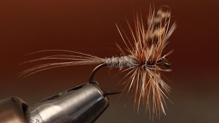 How to Fly Fish Beginner Fly Casting [upl. by Sedecram]