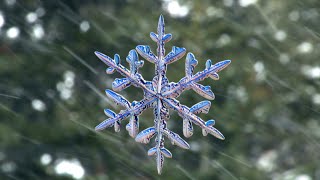 Capturing the Beauty of Snowflakes  HighSpeed Camera Reveals Secrets of Ice Crystals [upl. by Udele854]