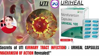 Uriheal 100mg Users BEWARE of This Common Mistake know its mechanism of action thepharmacistdrx [upl. by Akenal]