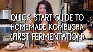 Quick Start Guide to Homemade Kombucha First Fermentation [upl. by Ivar880]