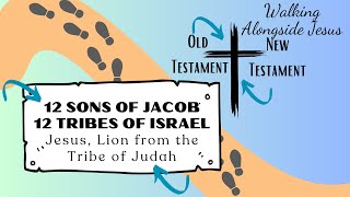 The 12 Sons of Jacob  GCED  Song [upl. by Maiah151]