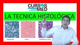 LA TECNICA HISTOLOGICA ✅ 2019 [upl. by Nagaer]