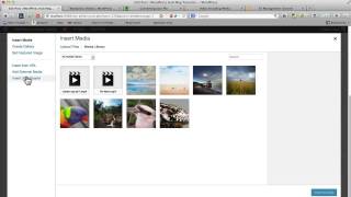 How to Add Video To WordPress Using JW Player Part 2 [upl. by Atnoed60]